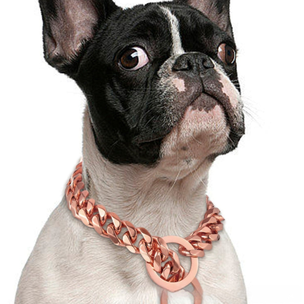 Titanium Steel Metal Hip Hop Pet 15mm Gold Stainless Steel Dog Necklace