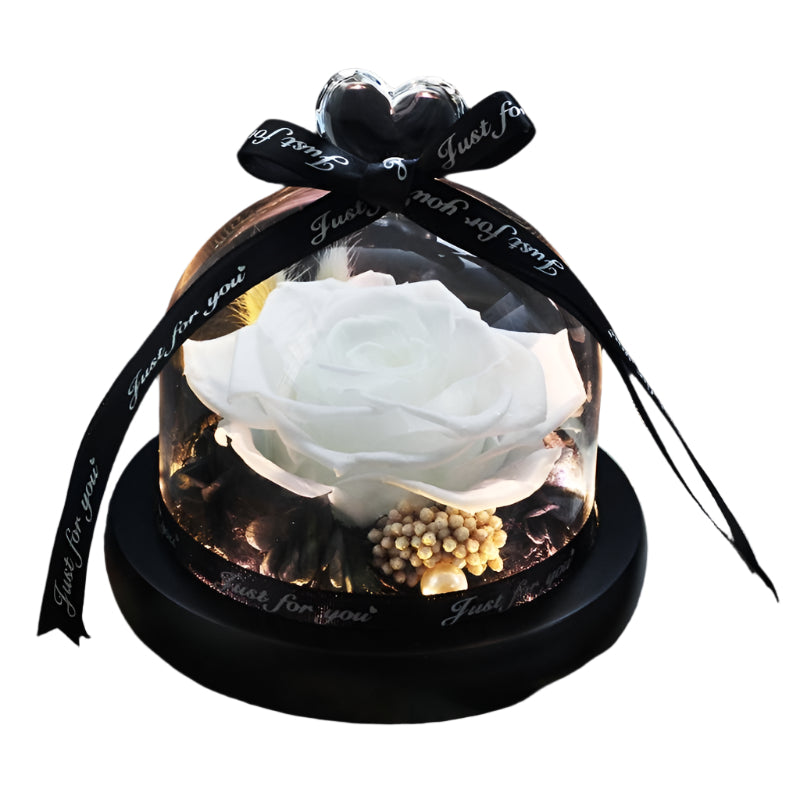 Romantic Flowers Home Decor Rose With LED Glass Valentine's Day Couples Gift