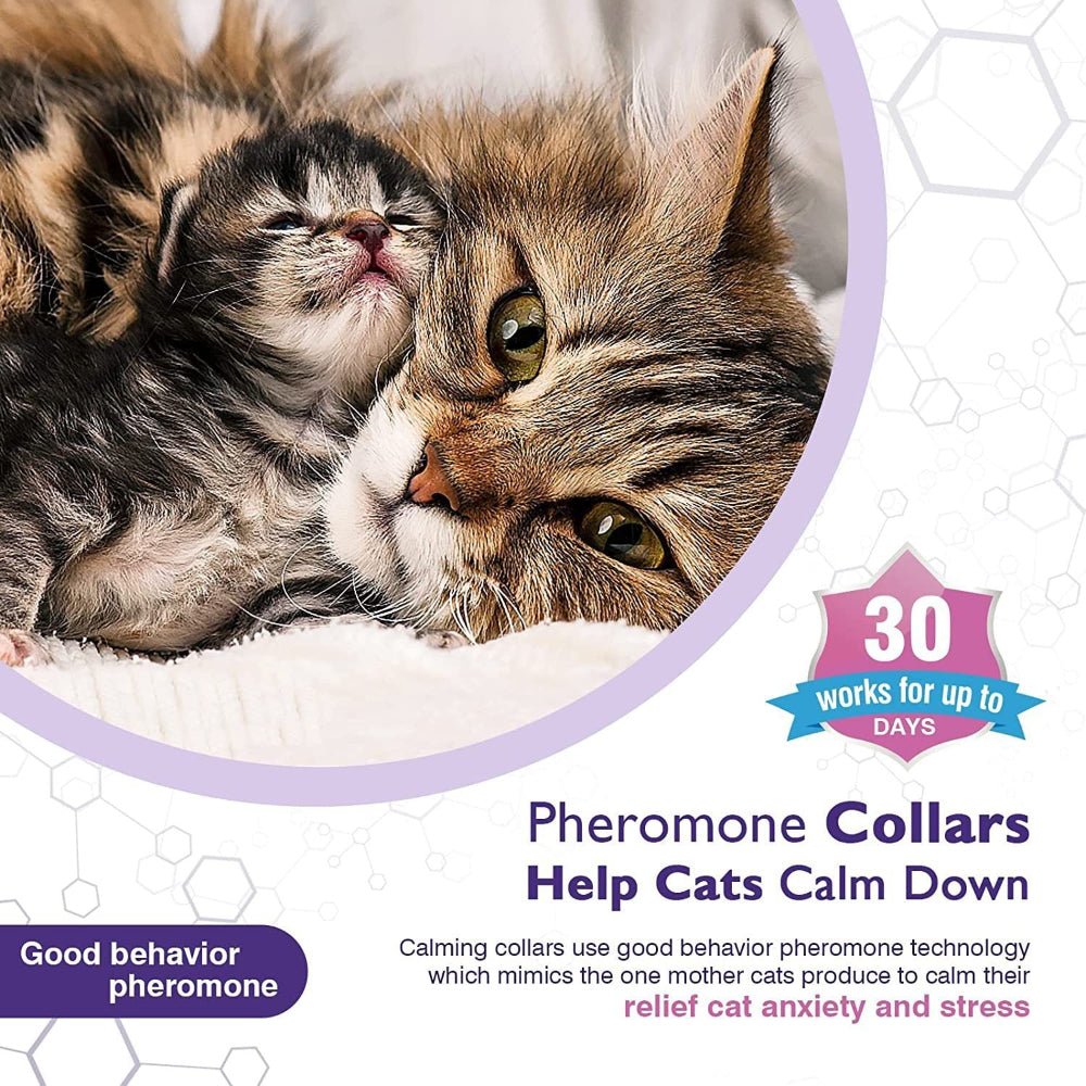 Pet Calm Comfort Relieve Anxiety Cat Collar