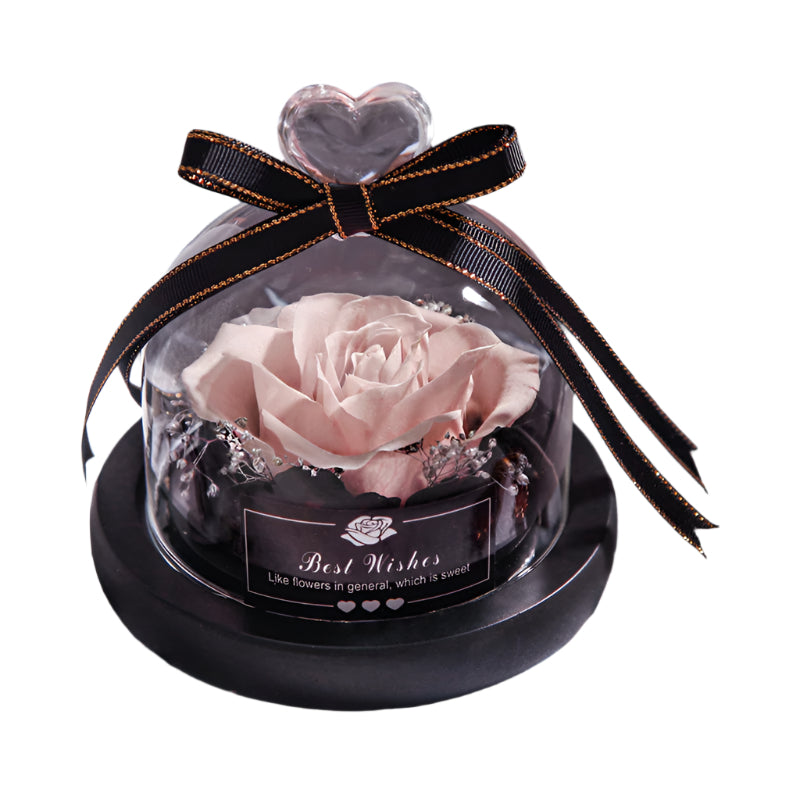 Romantic Flowers Home Decor Rose With LED Glass Valentine's Day Couples Gift
