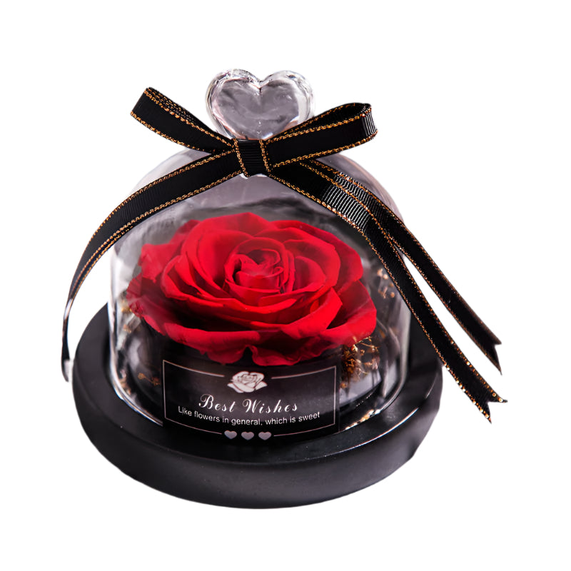 Romantic Flowers Home Decor Rose With LED Glass Valentine's Day Couples Gift