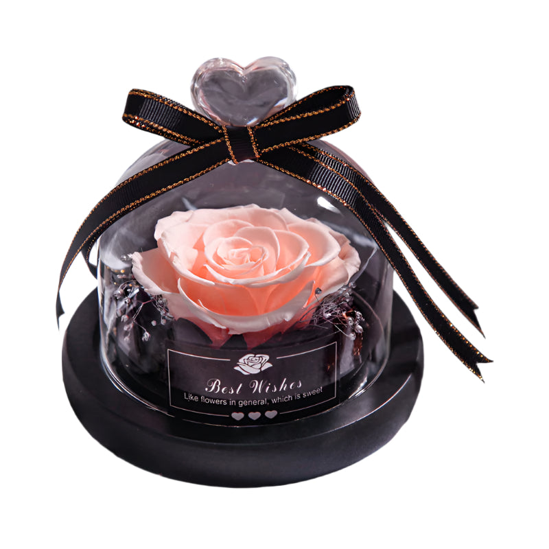 Romantic Flowers Home Decor Rose With LED Glass Valentine's Day Couples Gift