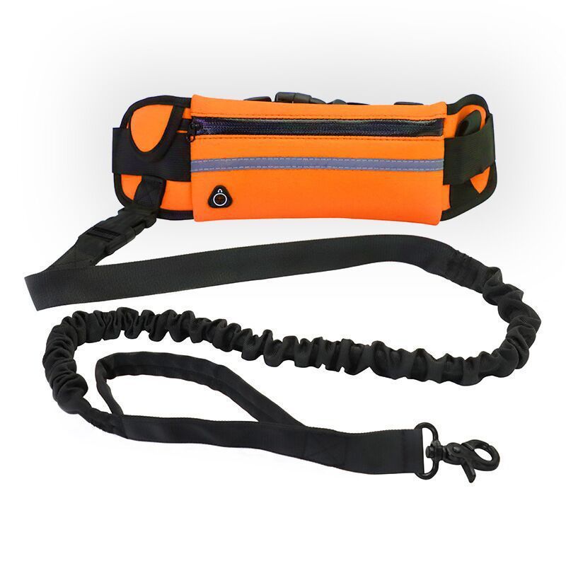 Pet Handsfree Dog Leash And Waistbag