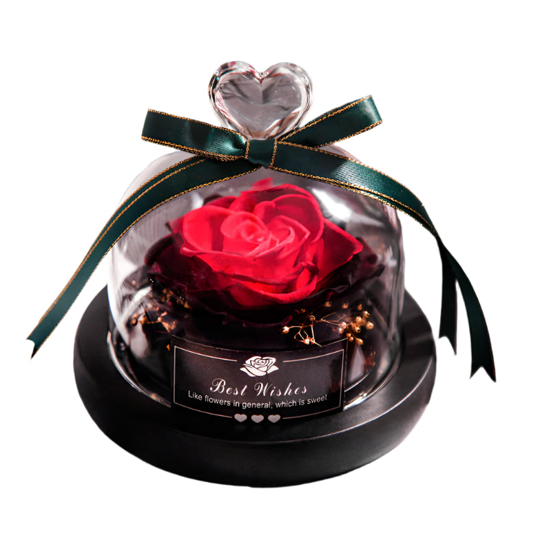 Romantic Flowers Home Decor Rose With LED Glass Valentine's Day Couples Gift
