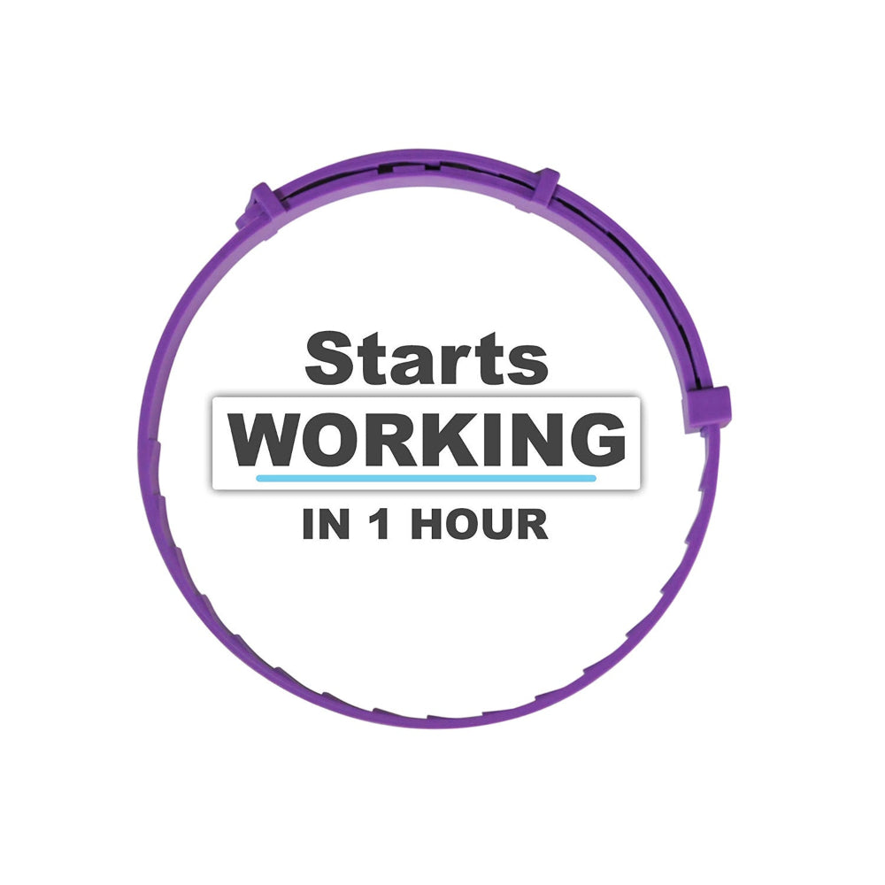 Pet Calm Comfort Relieve Anxiety Cat Collar