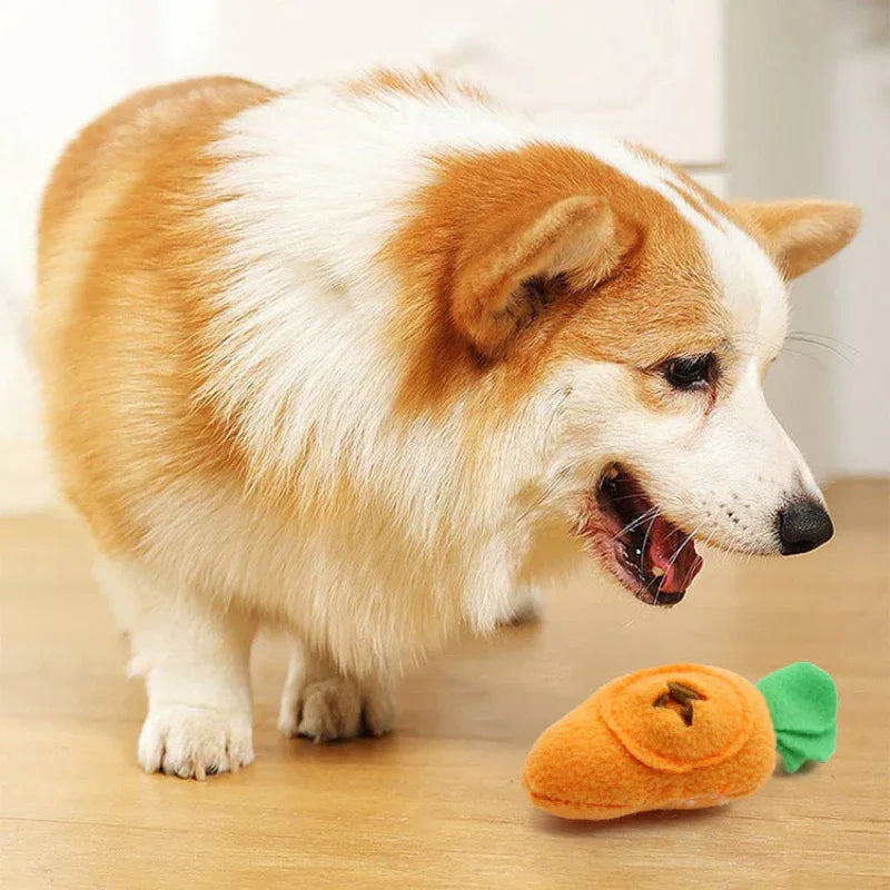 Dog Pet Interactive Hidden Food Feeding Toy