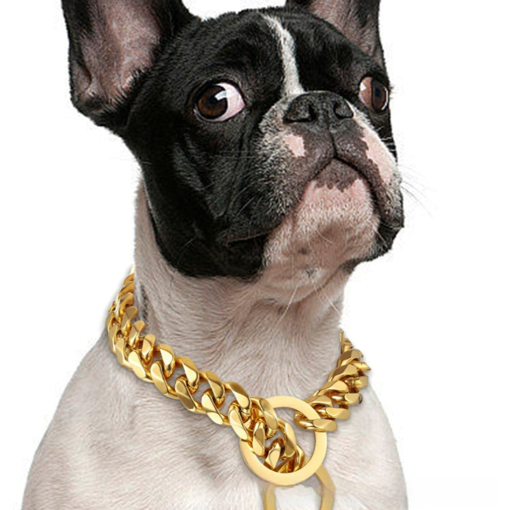 Titanium Steel Metal Hip Hop Pet 15mm Gold Stainless Steel Dog Necklace