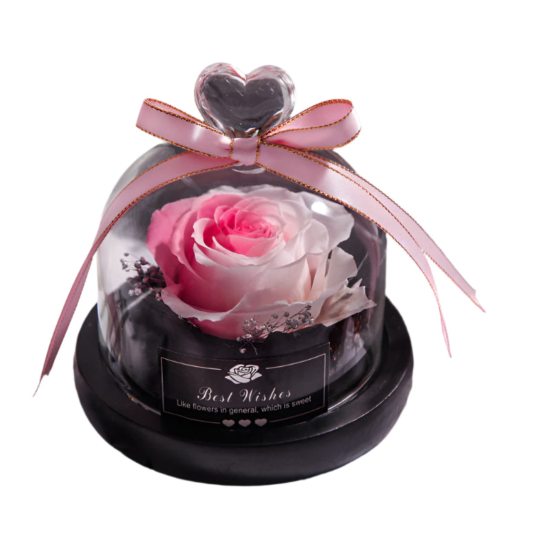 Romantic Flowers Home Decor Rose With LED Glass Valentine's Day Couples Gift