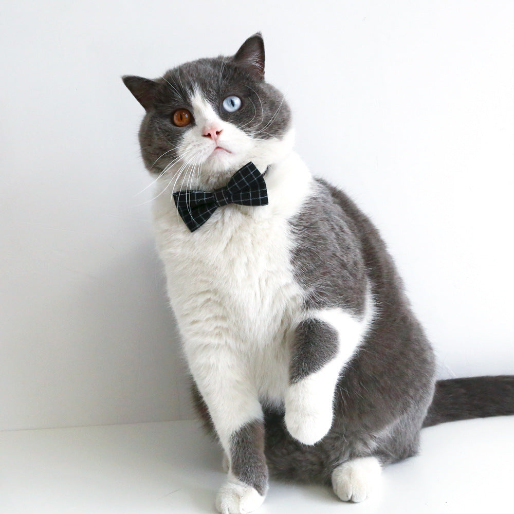 Pet Cat Dog Doctor's Degree Graduation Hat And Bow Tie