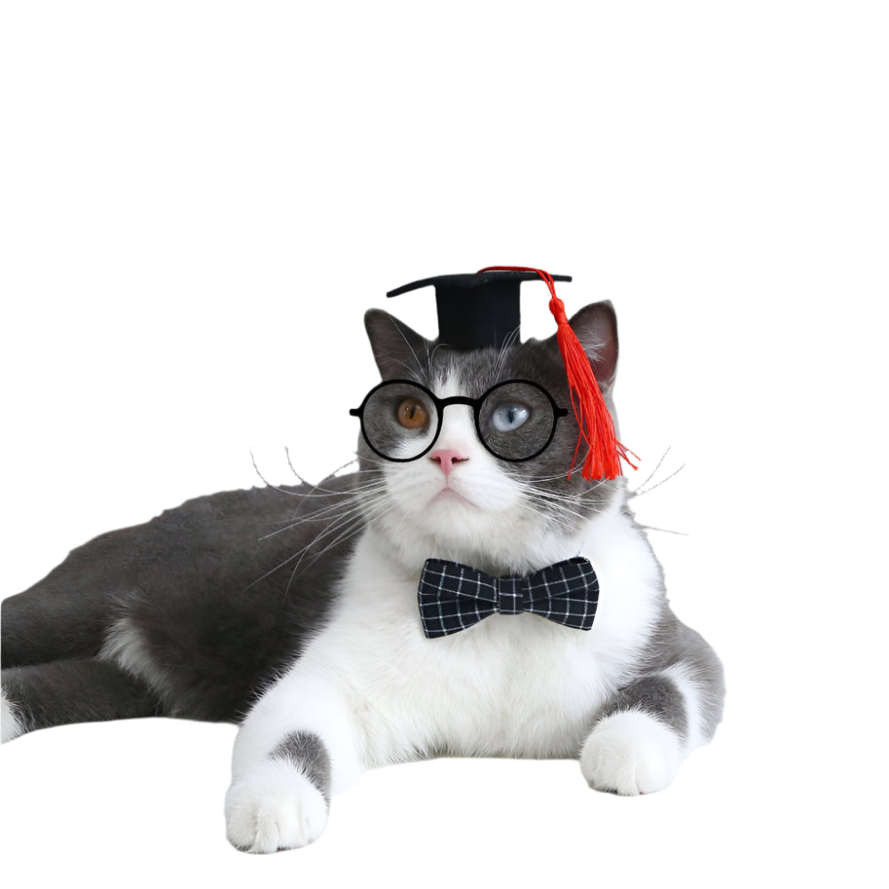 Pet Cat Dog Doctor's Degree Graduation Hat And Bow Tie