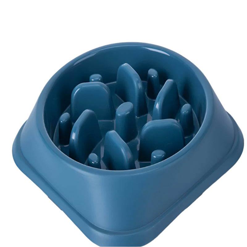 Slow Anti-choke Anti-Skid Feeding Dog Bowl
