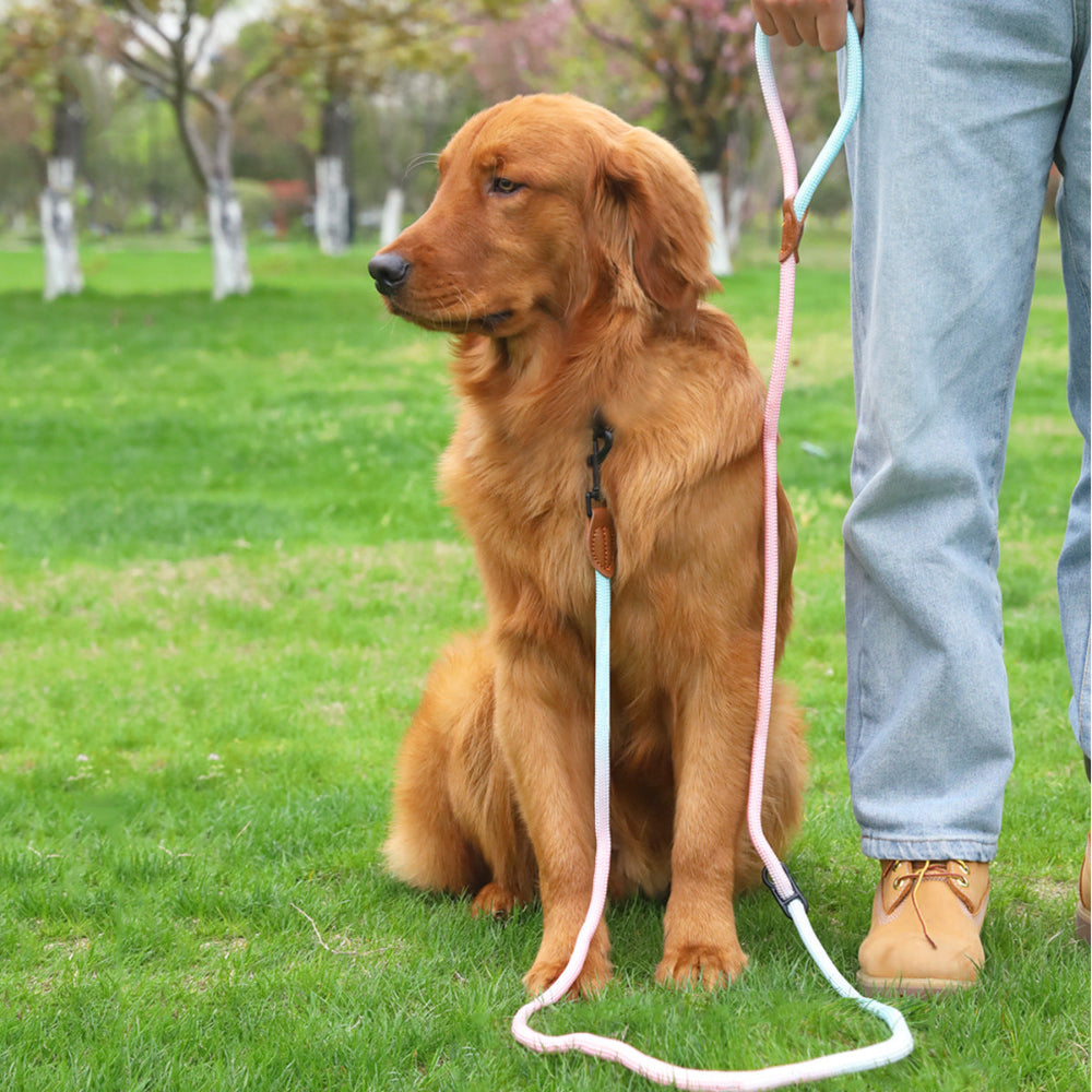 Pet Dog Cat Walking Multi-Purpose Reflective Rope Leash