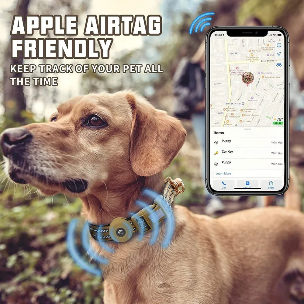 Silicone Case Nylon Anti-Lost Dog Collar.