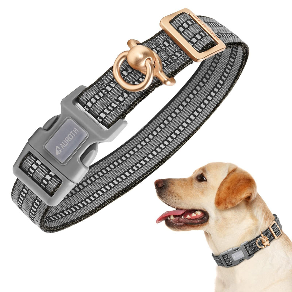 Silicone Case Nylon Anti-Lost Dog Collar.