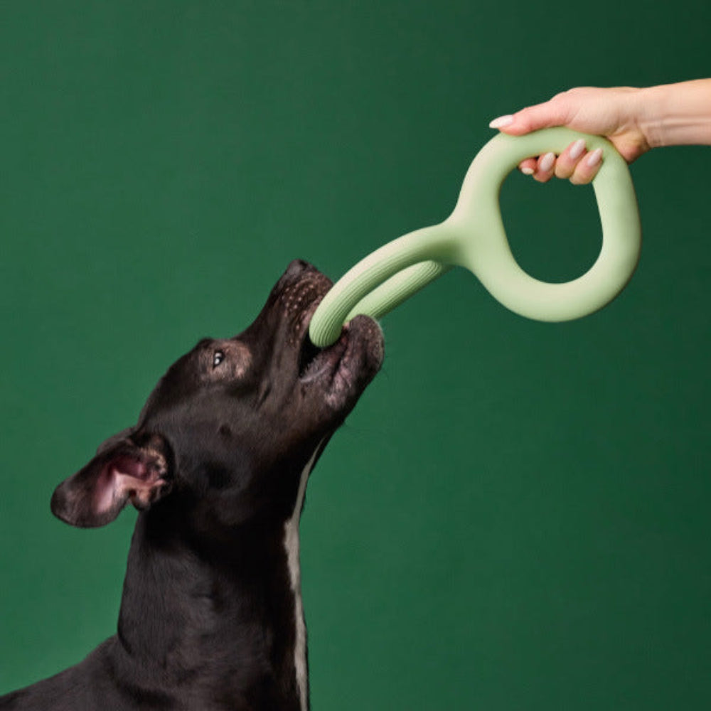 Interactive Rubber Pet Dog Bite Pull Toy