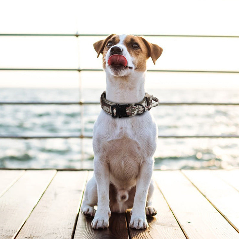 Tactical Adjustable Dog Collar Military German Shepherd Training Medium Large Pet Collar