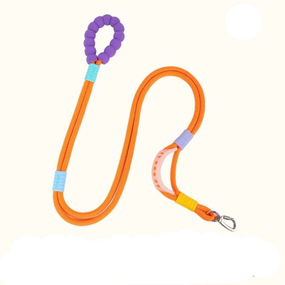 Fashion Personality Non-Slip Handle Pet Dog Rope Leash