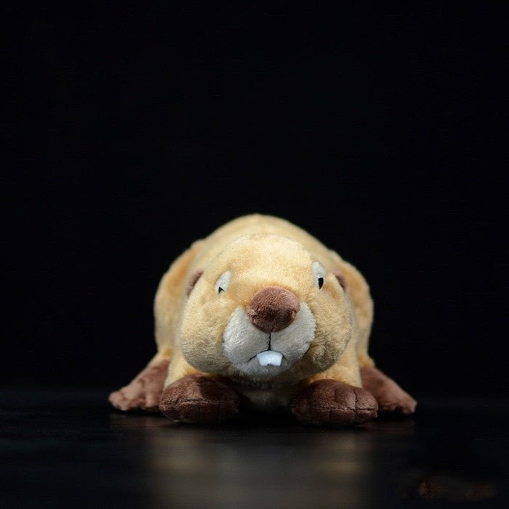 Beaver Stuffed Animal Plush Toy - Weriion