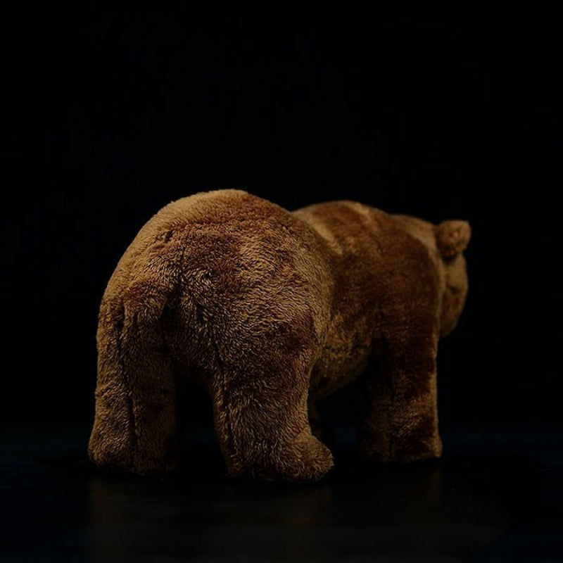 Brown Bear Plush Toy - Weriion