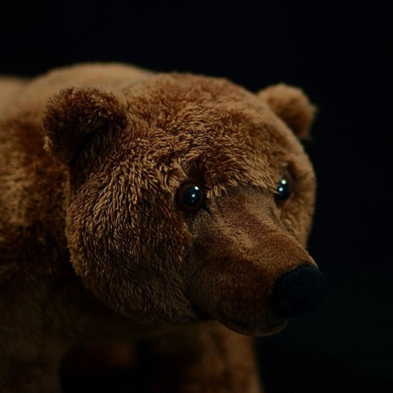 Brown Bear Plush Toy - Weriion