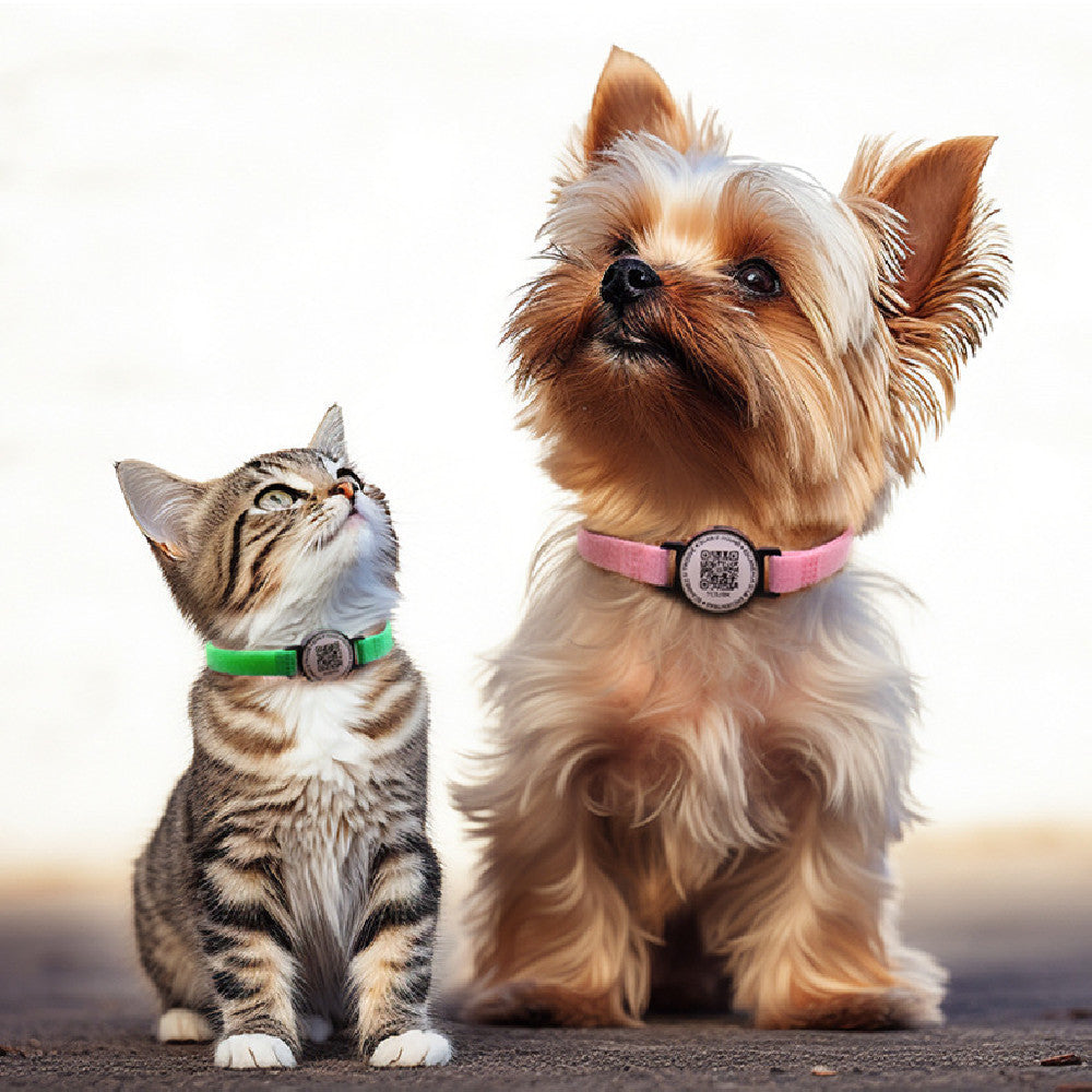 Creative QR Code Anti-Lost Pet Dog Cat Collar