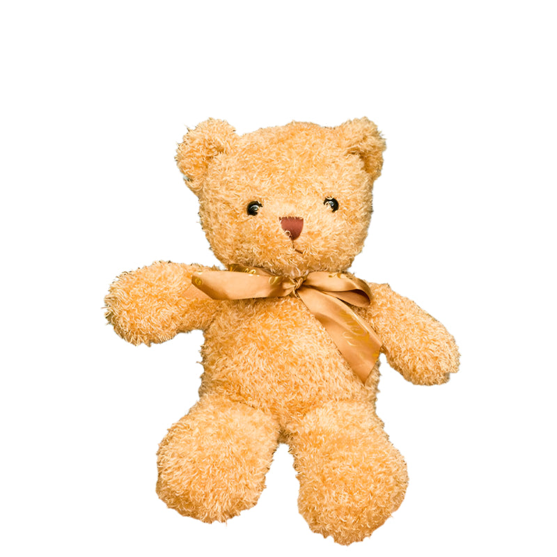 Cute Little Teddy Bear Plush Toys For Children - Weriion