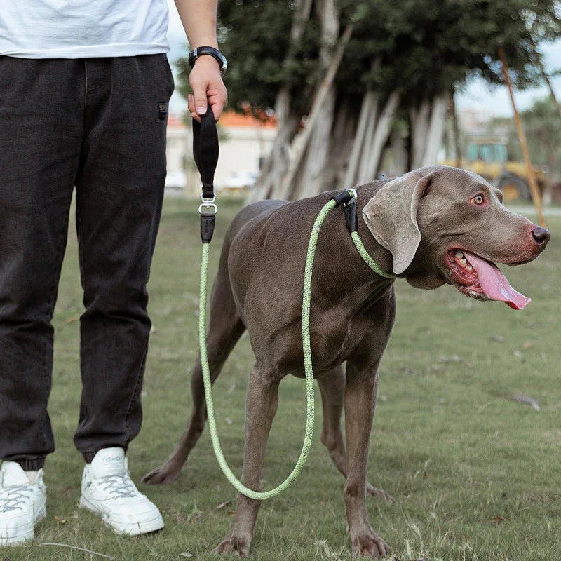 Durable And Comfortable Dog Leash