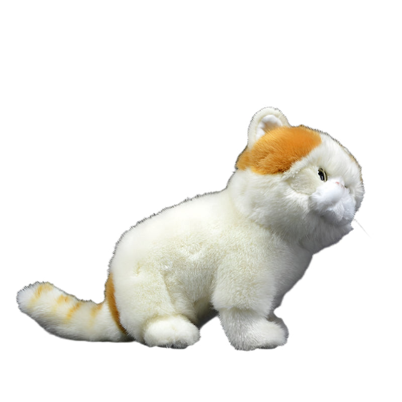 Exotic Persian Cat Doll Plush Toy - Weriion