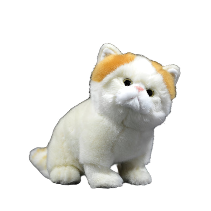 Exotic Persian Cat Doll Plush Toy - Weriion