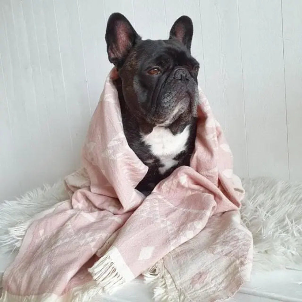 Highly Absorbent 100% Organic Cotton Towel