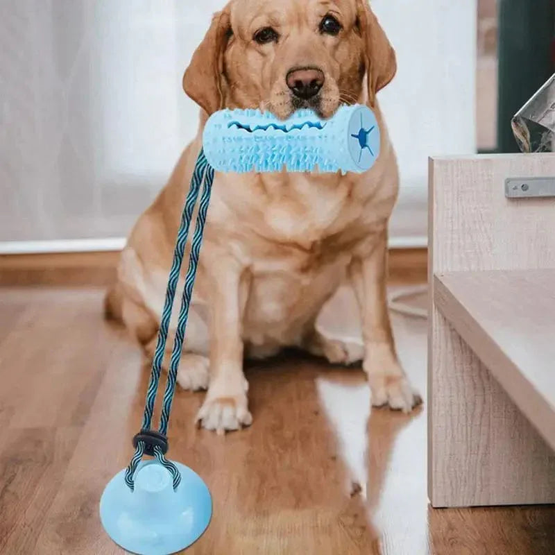 Interactive Dog Chew Ball Toys For Aggressive Chewers With Suction Cup - Weriion
