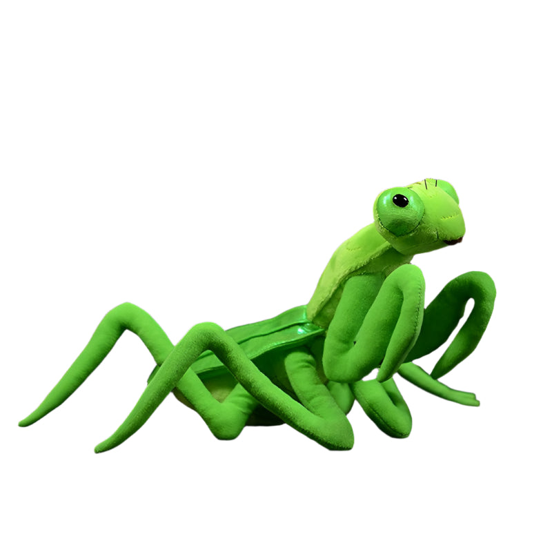 Lifelike Mantis Plush Toys Stuffed Animals For Kids - Weriion