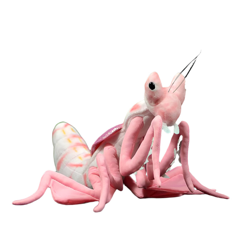 Lifelike Mantis Plush Toys Stuffed Animals For Kids - Weriion