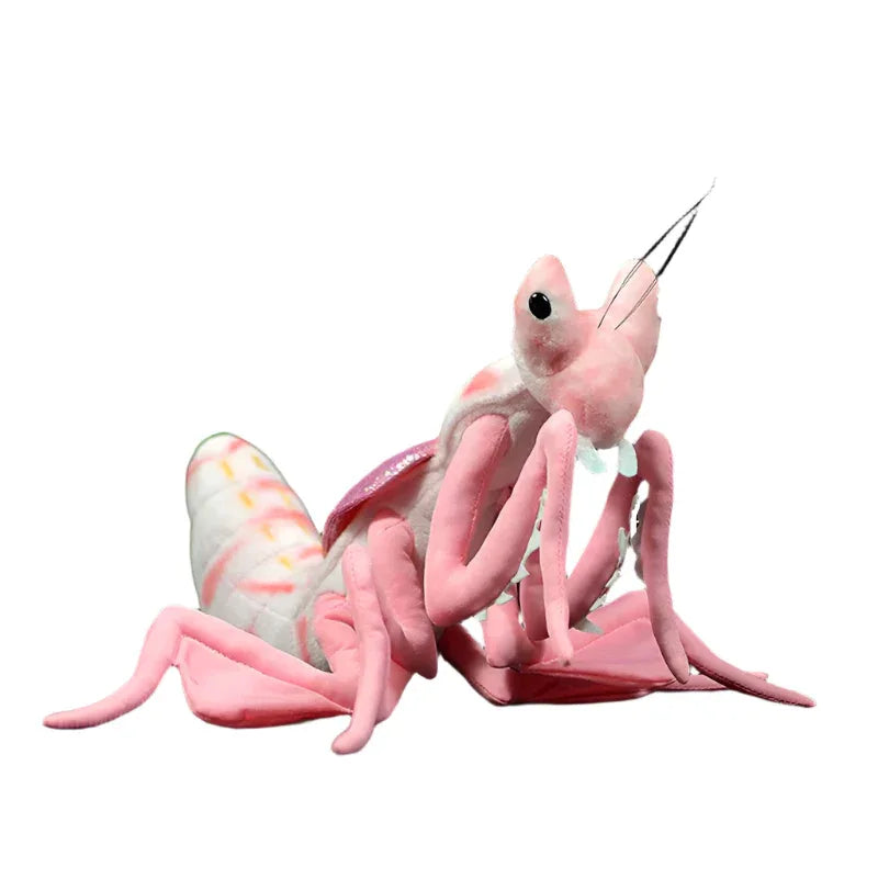Lifelike Mantis Plush Toys Stuffed Animals For Kids - Weriion