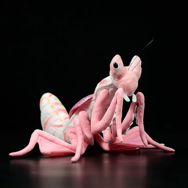 Lifelike Mantis Plush Toys Stuffed Animals For Kids - Weriion