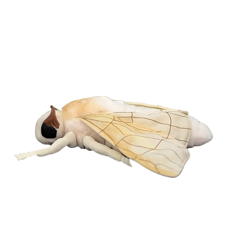 Stuffed Animal Doll Moth Plush Toy - Weriion