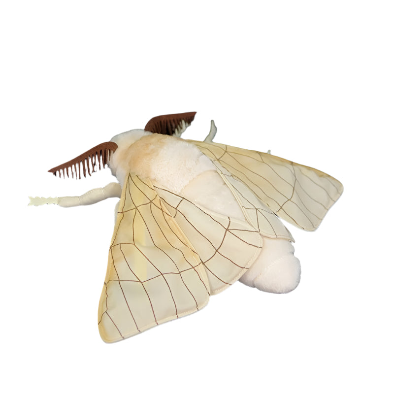 Stuffed Animal Doll Moth Plush Toy - Weriion