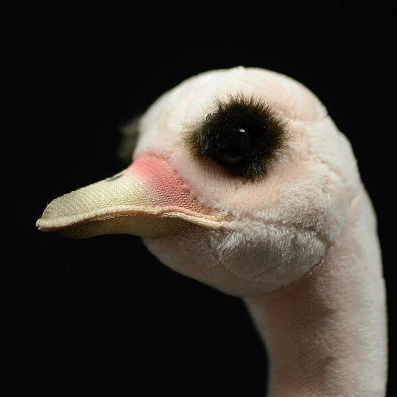 Super Cute African Ostrich Plush Toy - Weriion