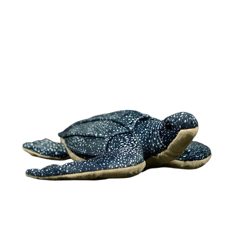 Tortoise Turtle Plush Toy - Weriion