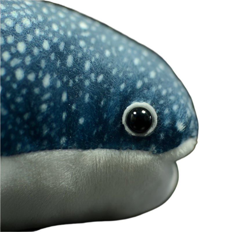 Whale Shark Plush Toy - Weriion