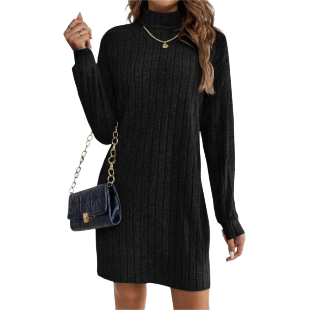 Women's Loose Fit Polyester Turtleneck Collar Dress - Weriion