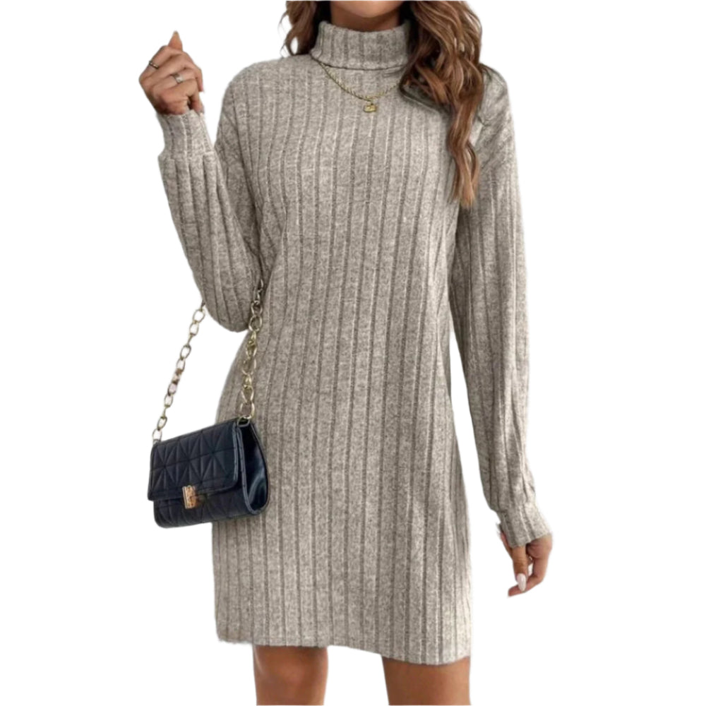 Women's Loose Fit Polyester Turtleneck Collar Dress - Weriion