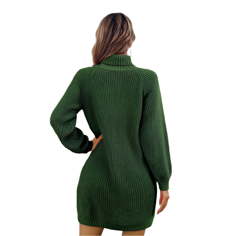 Women's Winter Turtleneck Long Sweater Dress With Leisure Button Design - Weriion