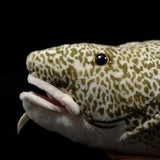 Pacific Cod Fish Plush Toy