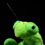 Lifelike Mantis Plush Toys Stuffed Animals For Kids