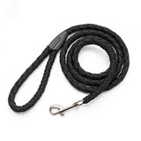 Nylon Non Retractable Braided Dog Leash