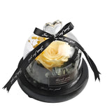 Romantic Flowers Home Decor Rose With LED Glass Valentine's Day Couples Gift