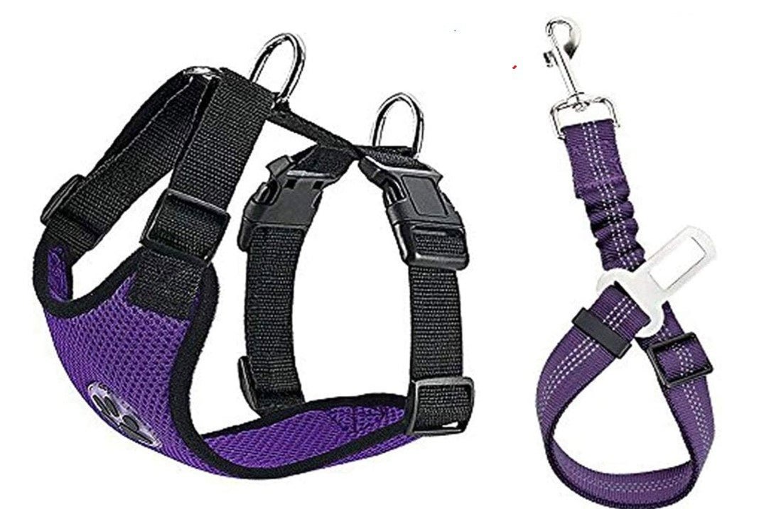 Adjustable Nylon Dog Pet Harness With Removable Rope Leash - Weriion