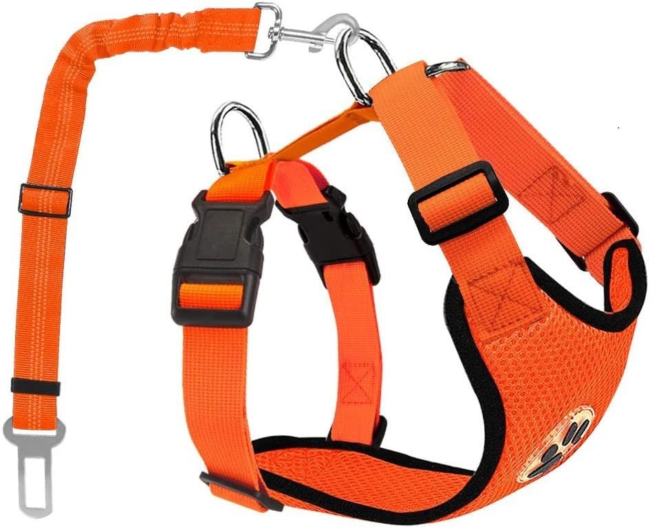 Adjustable Nylon Dog Pet Harness With Removable Rope Leash - Weriion