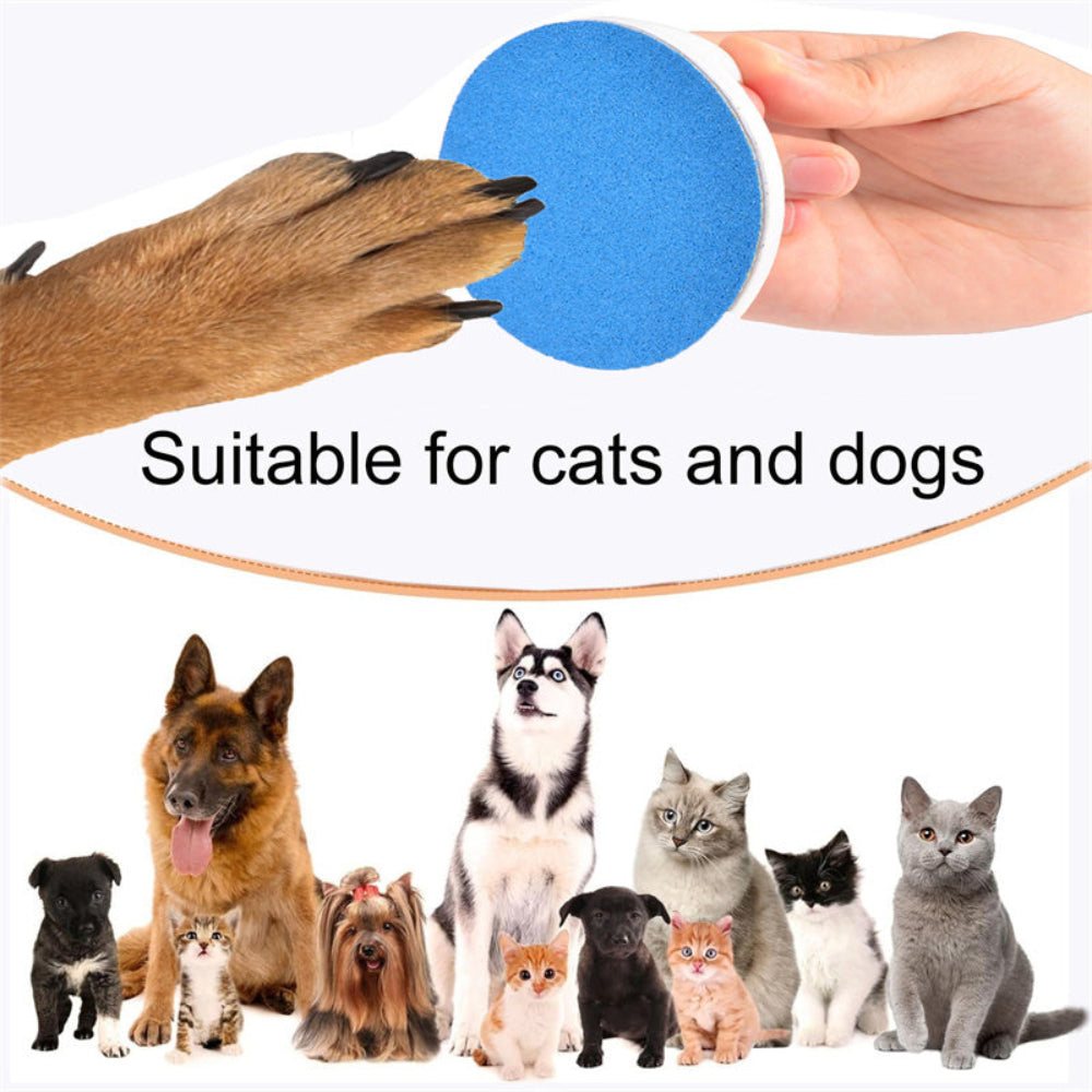 Cat Dog 360 Rotating Scratch Board Pet Bowl Feeding Toy